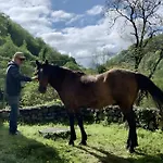 Tatil Evi Les Trois Maisons - Petit Osse-en-Aspe