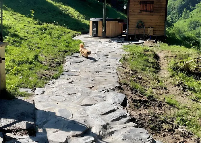 Les Trois Maisons - Petit Tatil Evi *