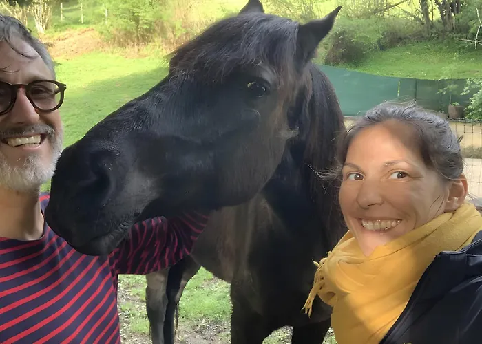 Les Trois Maisons - Petit Tatil Evi Osse-en-Aspe