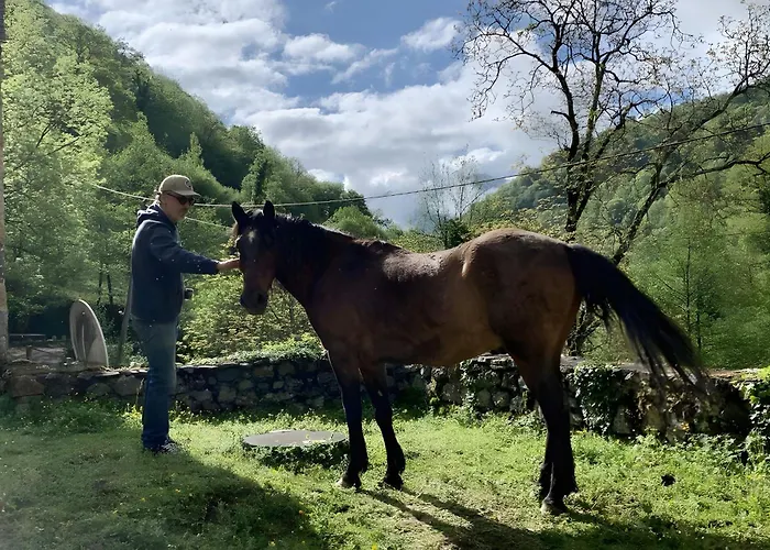 Tatil Evi Les Trois Maisons - Petit Osse-en-Aspe