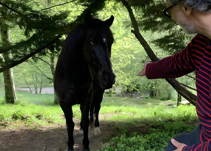 Tatil Evi Les Trois Maisons - Petit *