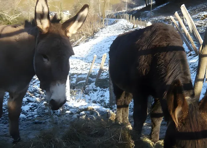 Les Trois Maisons - Petit Osse-en-Aspe