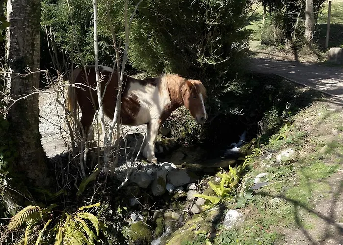 Les Trois Maisons - Petit Osse-en-Aspe
